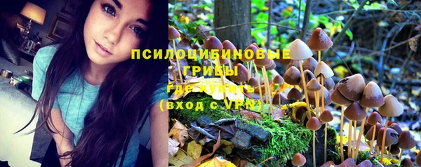 спайс Белокуриха