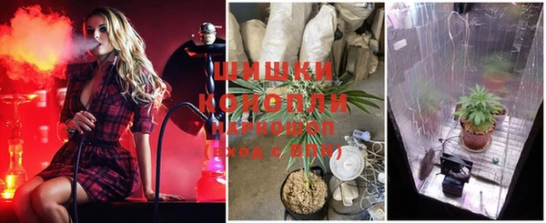 твердый Сосновоборск